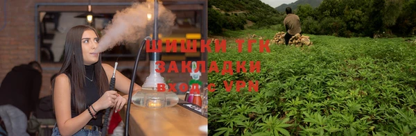 тгк Алексеевка