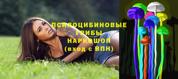 тгк Алексеевка