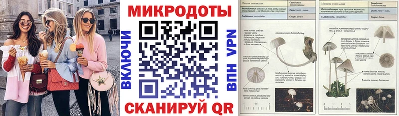Галлюциногенные грибы Psilocybine cubensis  Наволоки 